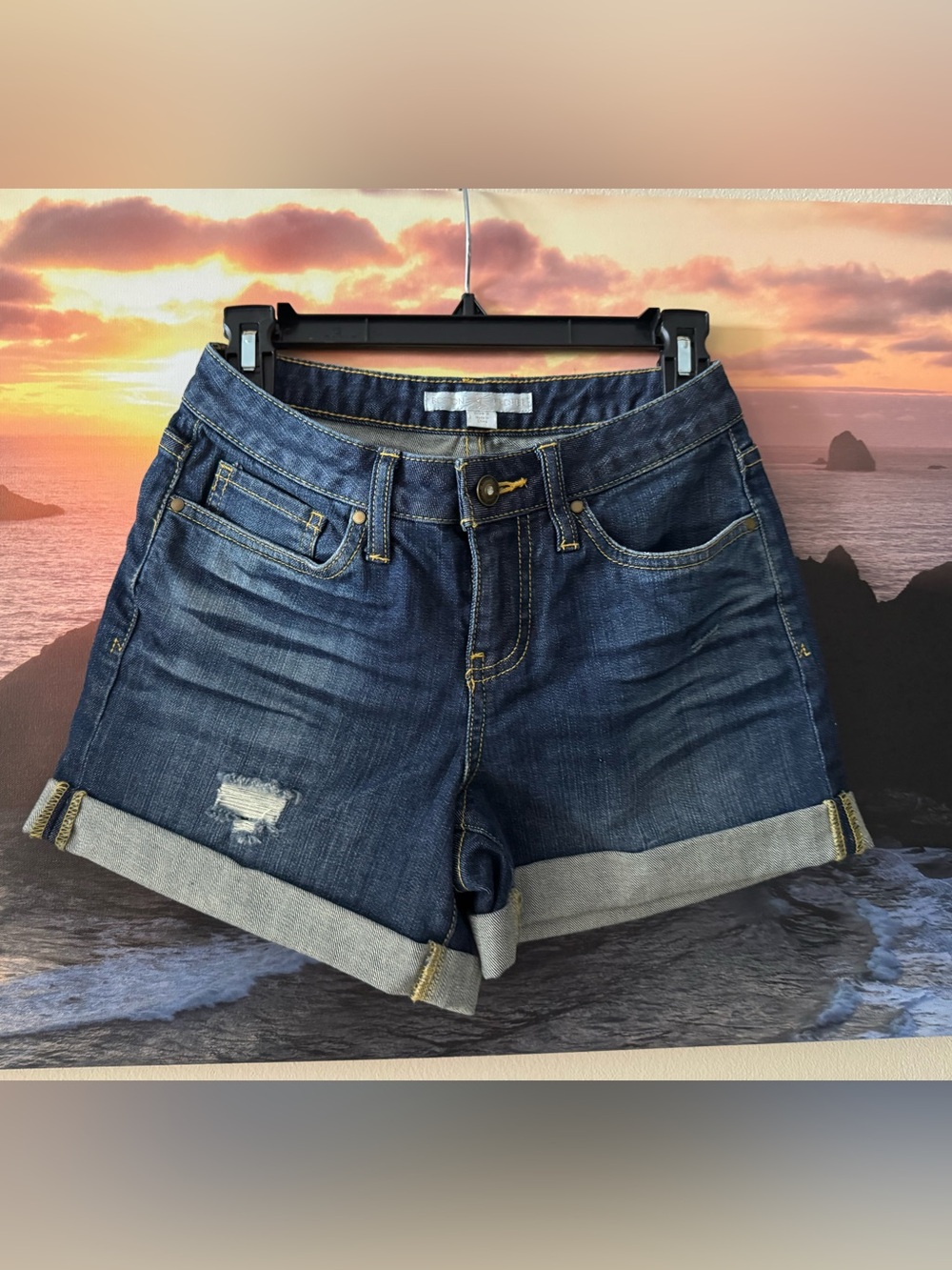Boston Proper Dark Blue Denim Cuffed Shorts/ 2 /New